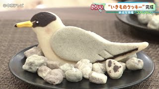 【“いきものクッキー”】新作は「コアジサシ」　魚で求愛？砂利に擬態？   愛知・藤前干潟に絶滅危惧種