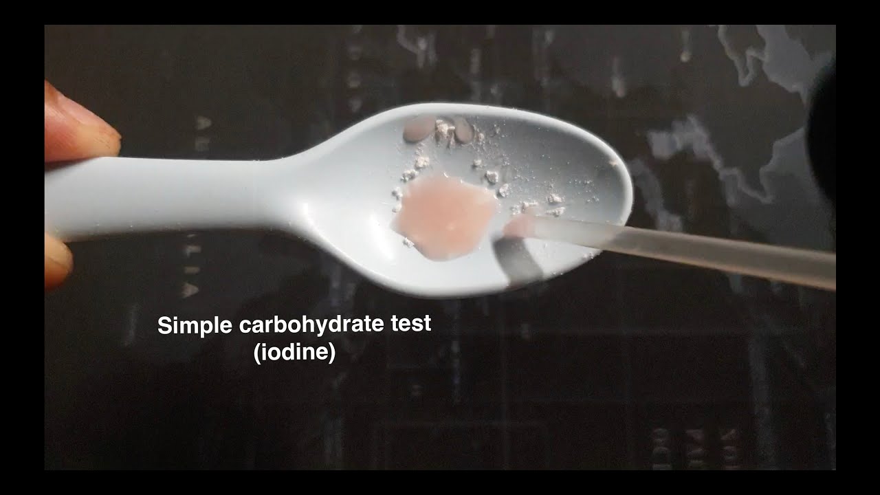 #Edukasi.6 Carbohydrate Iodine Test - YouTube