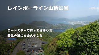 シニア夫婦のドライブ日記、レインボーラインで野生の猿に遭遇　山頂公園にも行きました