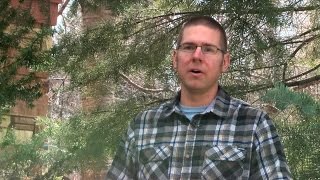 Climate change impacts forests after wildfires; Fire and drought slows forest recovery