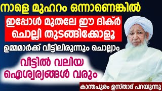 നാളെ മുഹറം ഒന്നാണെകിൽ ഇപ്പോൾ മുതലേ ഈ ദിക്ർ ചൊല്ലി തുടങ്ങിക്കോളൂ | muharram 2024 | islamic speech