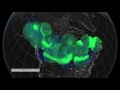 NASA  STEREO reveals the Entire Sun