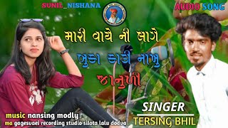 મારી વાયે ની લાગે બુકા કાડી ના ખુલી જાનુળી SINGER TERSING BHIL BHUTUPALSADI NEW MP TIMLI