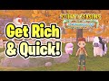 10+ Money Making Tips for Story of Seasons A Wonderful Life!