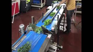 Horizontal Flow Wrapper Intermittent  Inverted - OTTAWA-BB-I-500 - Fresh Vegetables - Alphapack USA.