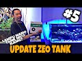 UPDATE ZEO TANK PART5  | LAMPUNYA NICO ILANG!!! |SETTING SPECTRA V2 | AQUARIUM AIR LAUT