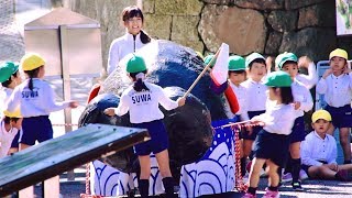 2017.10.26園児たちによるちびっこくんちの練習風景②＠諏訪神社(長崎)