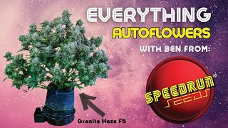 Everything Autoflowers - A Discussion with Ben, Owner of Speedrun Seeds