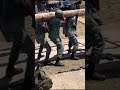 Jdf recruits intense training 💪 🇯🇲🐊🐊 🔥🔥🔥 #training #viral #trending #jdf #jamaica