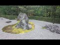 【4k】京都の庭園 退蔵院｜kyoto garden taizo in【kyoto japanese garden】