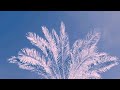 Peaceful Humming Background Nasheed