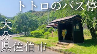 【トトロのバス停】大分県佐伯市にある隠れスポット