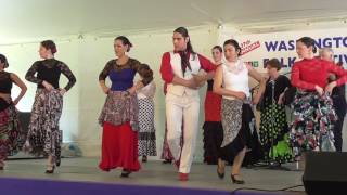 Furia Flamenca @ The Washington Folk Festival 2017