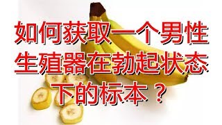 如何获取一个男性生殖器在勃起状态下的标本？