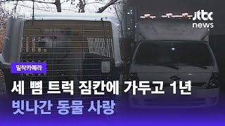 [밀착카메라] 세 뼘 트럭 짐칸에 가두고 1년…빗나간 동물 사랑 / JTBC 뉴스룸