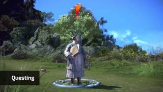 TERA: A New Player Guide