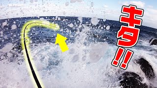 水深1mで高級魚ドカ食い開始！