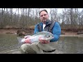 winter steelhead bobber downs january 2019