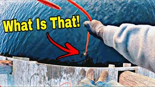 The Most Unbelievable Luck EVER Magnet Fishing Deep Lake!!!