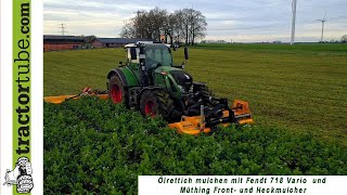 Ölrettich mulchen mit Fendt 718 mit Front- und Heckmulcher von Müthing