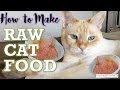 How to Make RAW CAT FOOD (RECIPE) – Homemade Cat Food for Healthy Cats