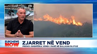 Zjarret në vend, Prençi: Shqipëria mund të bëhet vendi i parë në Evropë pa pyje