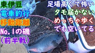 【東伊豆】城ヶ崎海岸駅から徒歩50分？過酷地磯でウキフカセ（前半戦）【2020年3月】