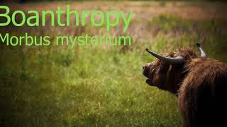 Boanthropy