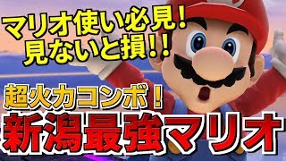 マリオ使いは見ないと損！超参考になる新潟覇者の圧倒的立ち回り！【スマブラWiiU】