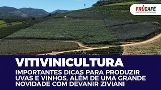 Importantes Dicas de Vitivinicultura (Uvas e Vinhos) e Grande Novidade, com Devanir Ziviani !!!