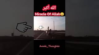 Miracle Of Allah 😲#viral #ytshorts #shorts