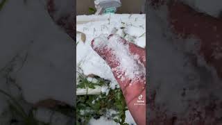 【閲覧注意】雪を食べてみた！