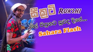 Mal Pipunata Suwanda Dige Noyannai | Rukshi With Sahara Flash