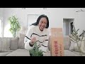 unboxing rare conifers from mr. maple.com 🍁 plant haul 🌿