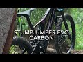 STUMPJUMPER EVO CARBON  2020