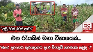 එක රැයකින් මහ විනාශයක්... \