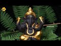 ಇಂದು ಮರೆಯದೆ ಮಾಡಿ ಈ ʼಕೆಲಸ how to please lord ganesha in wednesday tvnxt kannada