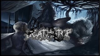 Liquid Morph - Insomnia
