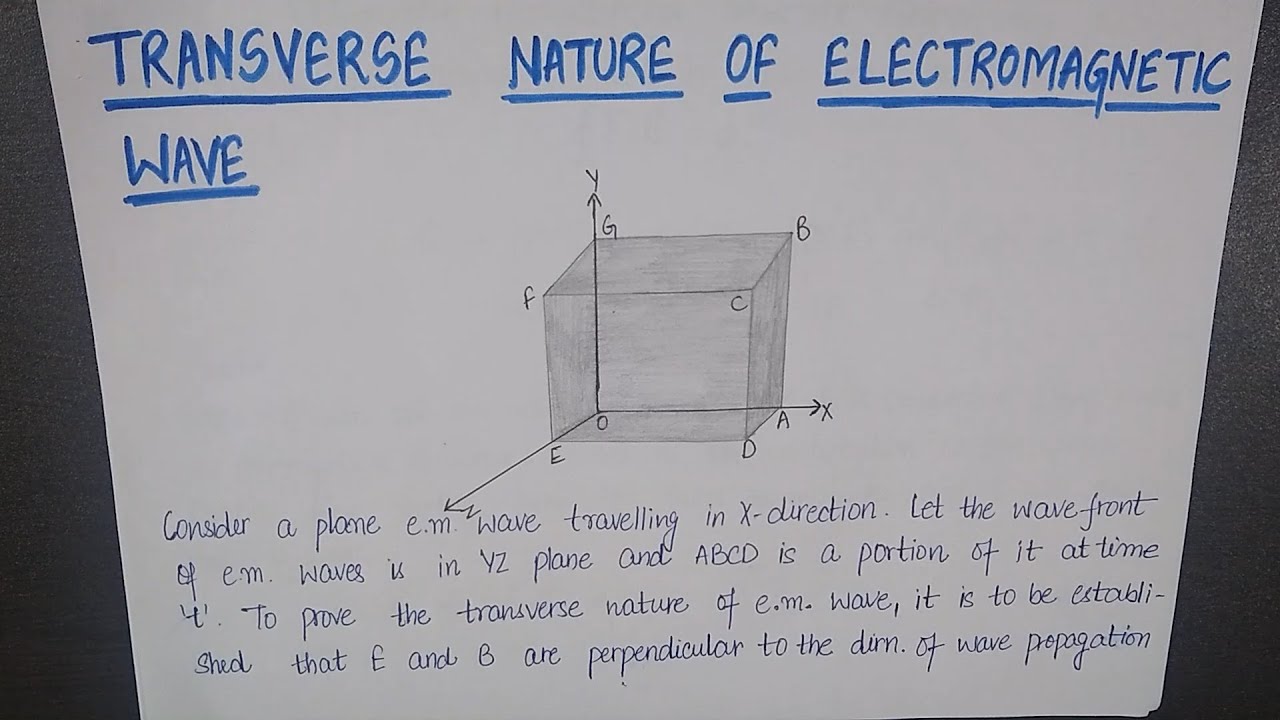 Transverse Nature Of Electromagnetic Waves - YouTube