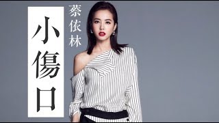 小傷口 (蔡依林Jolin Tsai) 伴奏 Karaoke