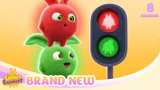 SUNNY BUNNIES COMPILATIONS - RULES OF THE ROAD | BRAND NEW SEASON 8 MARATHON | Cartoons for Kids