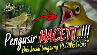 Ciak Joss Kecial Kuning PENGUSIR MACET Ampuh Bikin Kecial Langsung NGEPLONG‼️