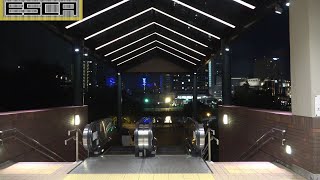 【夜】横浜ワールドポーターズ 外エスカレーター 2F-1F YOKOHAMA WORLD PORTERS Escalator