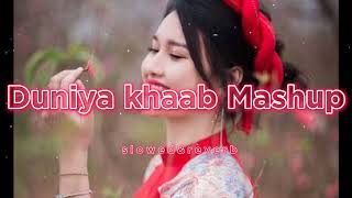 Duniya & Khaab Mashup - Lukka Chuppi | Lofi Music | [Slowed & Reverb]