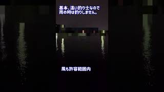 2022.6.11の三河湾の釣果#shorts