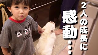 子供嫌いの愛犬と3歳児がしっかり順番を守ってオヤツを貰う姿に感動した