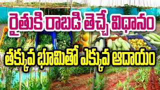 ఏకకాలంలో అనేక పంటలు - నిరంతర ఆదాయం | Edukondalu  | Multilayer Vegateble Farming | Edukondalu