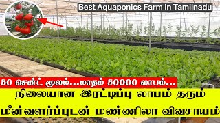 இரட்டிப்பு லாபம்தரும் மீன் வளப்புடன் கூடிய மண்ணிலா விவசாயம்|Best Aquaponics Farm in Tamilnadu