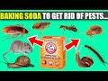 How To Use Baking Soda To Get Rid Of Pests  - Cockroaches, Bedbugs, Ants, Mice, Etc | Learning Hub