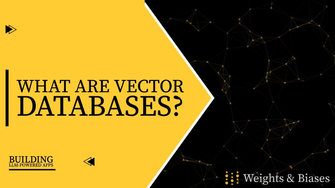 Comprehensive Overview Of Vector Databases Youtube